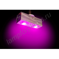 Лампа для выращивания 100Вт с цоколем Е14/Е27/Е40/GU10, с активным охлаждением светодиодов "Денебола" (аналог китайских ламп мощностью 200-260 Вт) Лампа для выращивания 100Вт с цоколем Е14/Е27/Е40/GU10, с активным охлаждением светодиодов "Денебола" (аналог китайских ламп мощностью 200-260 Вт)