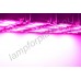 Топовая LED фитопанель для гроубоксов и гидропонного выращивания "Минхир", 2200+ мкммоль/с*кв.м, 1000 Вт